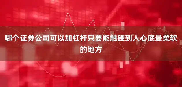 哪个证券公司可以加杠杆只要能触碰到人心底最柔软的地方