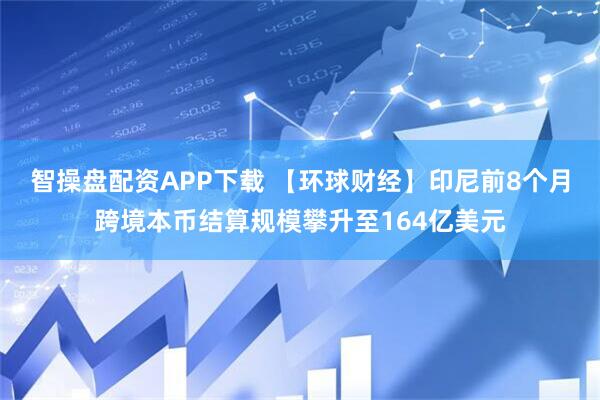 智操盘配资APP下载 【环球财经】印尼前8个月跨境本币结算规模攀升至164亿美元