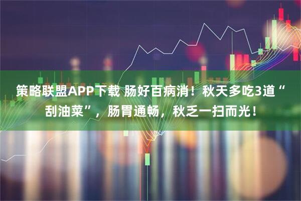 策略联盟APP下载 肠好百病消！秋天多吃3道“刮油菜”，肠胃通畅，秋乏一扫而光！