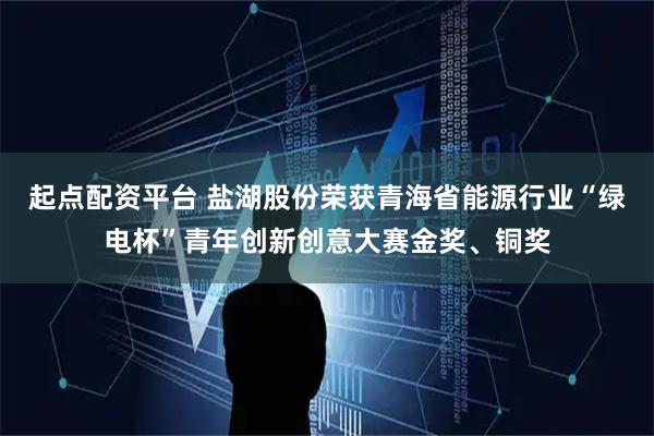 起点配资平台 盐湖股份荣获青海省能源行业“绿电杯”青年创新创意大赛金奖、铜奖