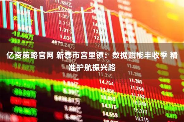亿资策略官网 新泰市宫里镇：数据赋能丰收季 精准护航振兴路